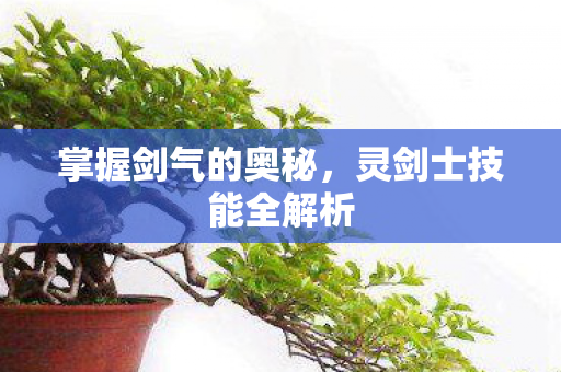 掌握剑气的奥秘,灵剑士技能全解析 掌握剑气的奥秘,灵剑士技能全解析