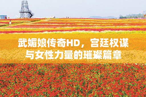 武媚娘传奇HD,宫廷权谋与女性力量的璀璨篇章 武媚娘传奇HD,宫廷权谋与女性力量的璀璨篇章