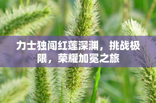 力士独闯红莲深渊图片