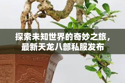 探索未知世界的奇妙之旅,最新天龙八部私服发布 探索未知世界的奇妙之旅,最新天龙八部私服发布