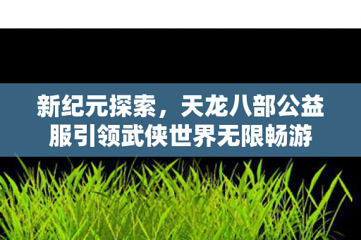 新纪元探索,天龙八部公益服引领武侠世界无限畅游 新纪元探索,天龙八部公益服引领武侠世界无限畅游