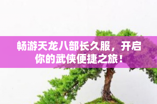 畅游天龙八部长久服,开启你的武侠便捷之旅! 畅游天龙八部长久服,开启你的武侠便捷之旅!