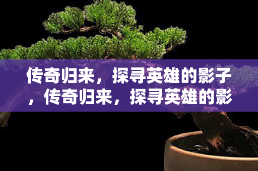 探寻英雄的影子图片