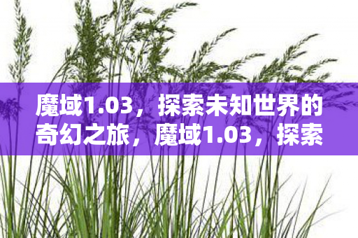 魔域1.03,探索未知世界的奇幻之旅,魔域1.03,探索未知世界的奇幻之旅 魔域1.03,探索未知世界的奇幻之旅,魔域1.03,探索未知世界的奇幻之旅