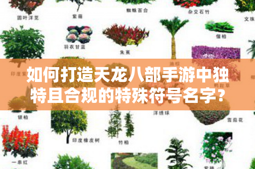 如何打造天龙八部手游中独特且合规的特殊符号名字? 如何打造天龙八部手游中独特且合规的特殊符号名字?