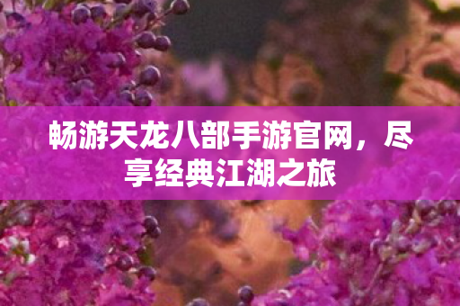 畅游天龙八部手游官网,尽享经典江湖之旅 畅游天龙八部手游官网,尽享经典江湖之旅