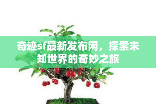 奇迹sf最新发布网，探索未知世界的奇妙之旅