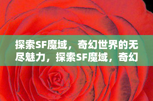 奇幻世界的无尽魅力图片