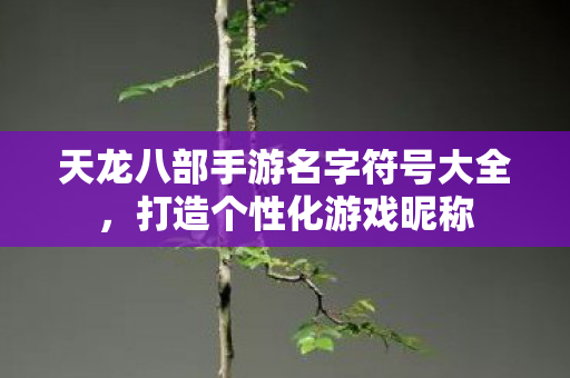 天龙八部手游名字符号大全图片