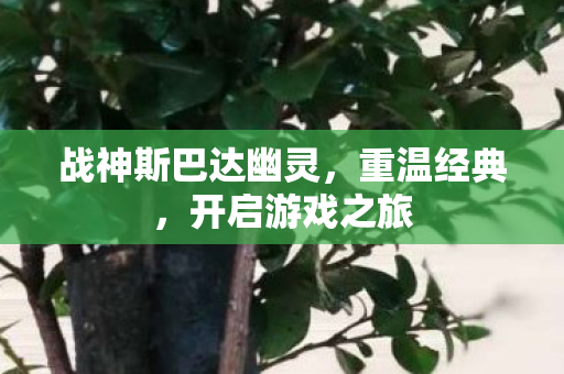 战神斯巴达幽灵图片