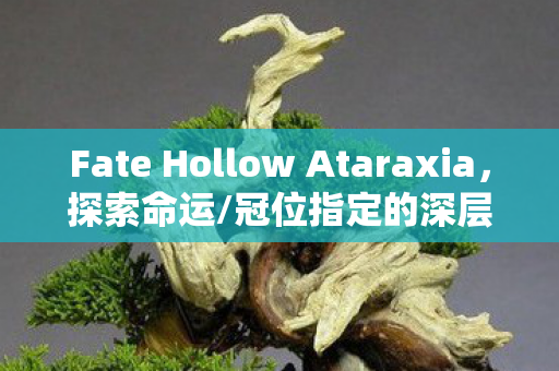 Fate Hollow Ataraxia图片