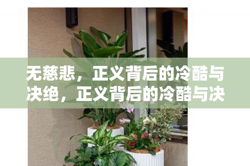 正义背后的冷酷与决绝图片