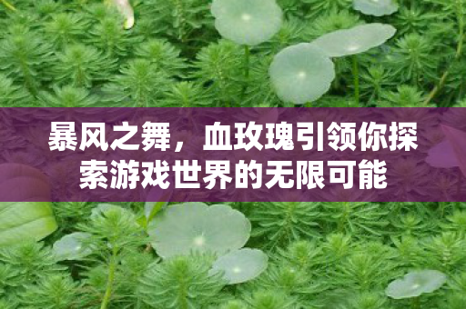 暴风之舞,血玫瑰引领你探索游戏世界的无限可能 暴风之舞,血玫瑰引领你探索游戏世界的无限可能