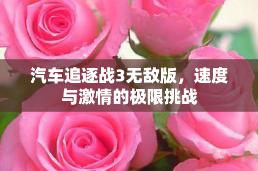 速度与激情的极限挑战图片
