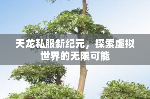 天龙私服新纪元,探索虚拟世界的无限可能 天龙私服新纪元,探索虚拟世界的无限可能