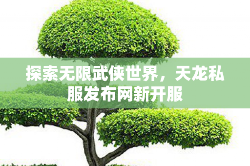 探索无限武侠世界,天龙私服发布网新开服 探索无限武侠世界,天龙私服发布网新开服