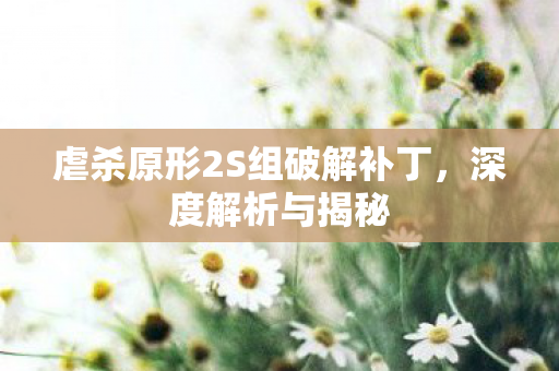 虐杀原形2S组破解补丁,深度解析与揭秘 虐杀原形2S组破解补丁,深度解析与揭秘