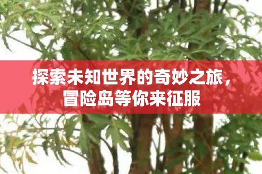 探索未知世界的奇妙之旅，冒险岛等你来征服