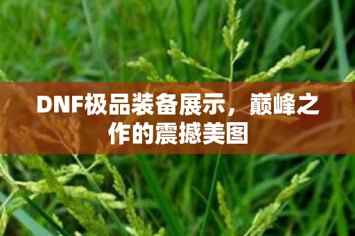 DNF极品装备展示,巅峰之作的震撼美图 DNF极品装备展示,巅峰之作的震撼美图