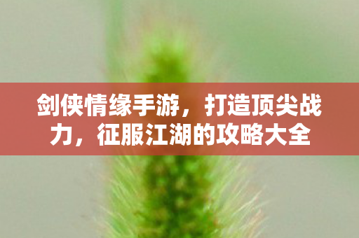 征服江湖的攻略大全图片