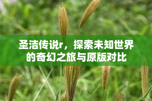 圣洁传说r,探索未知世界的奇幻之旅与原版对比 圣洁传说r,探索未知世界的奇幻之旅与原版对比