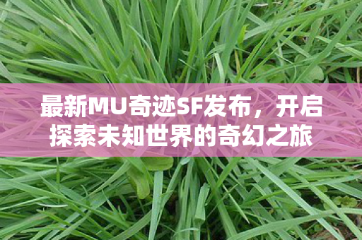 最新MU奇迹SF发布,开启探索未知世界的奇幻之旅 最新MU奇迹SF发布,开启探索未知世界的奇幻之旅