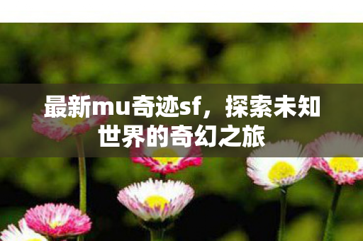 最新mu奇迹sf,探索未知世界的奇幻之旅 最新mu奇迹sf,探索未知世界的奇幻之旅