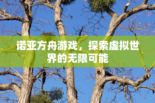 探索虚拟世界的无限可能图片