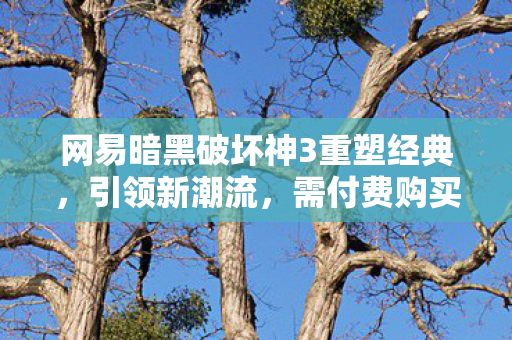 网易暗黑破坏神3重塑经典,引领新潮流,需付费购买 网易暗黑破坏神3重塑经典,引领新潮流,需付费购买