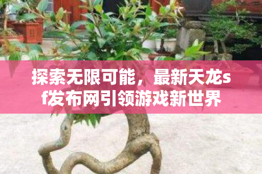 探索无限可能，最新天龙sf发布网引领游戏新世界