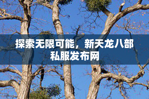 探索无限可能,新天龙八部私服发布网 探索无限可能,新天龙八部私服发布网