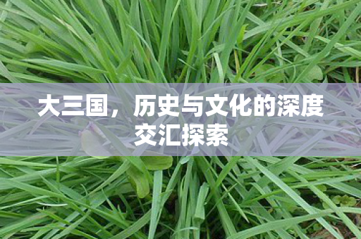 大三国，历史与文化的深度交汇探索