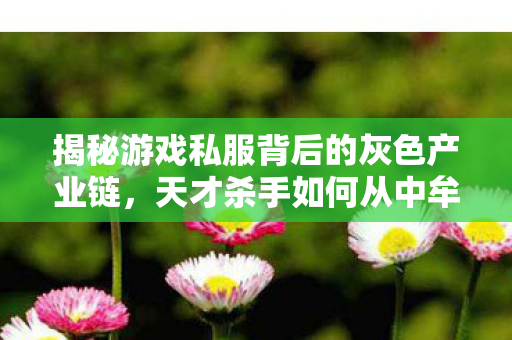 揭秘游戏私服背后的灰色产业链，天才杀手如何从中牟利？