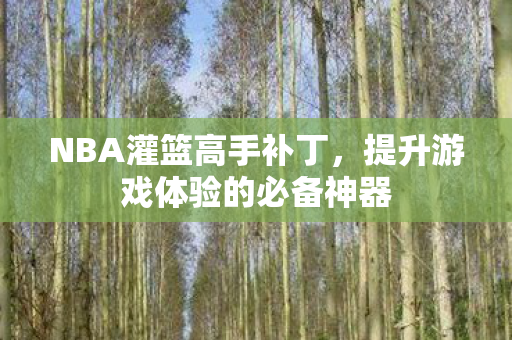 NBA灌篮高手补丁,提升游戏体验的必备神器 NBA灌篮高手补丁,提升游戏体验的必备神器