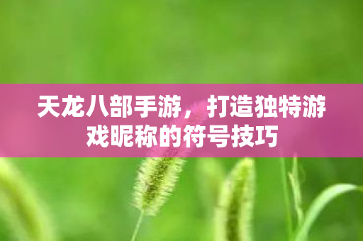 天龙八部手游,打造独特游戏昵称的符号技巧 天龙八部手游,打造独特游戏昵称的符号技巧