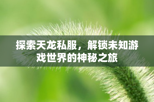 解锁未知游戏世界的神秘之旅图片