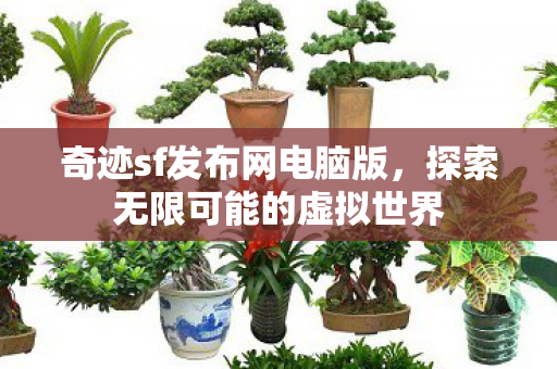 奇迹sf发布网电脑版,探索无限可能的虚拟世界 奇迹sf发布网电脑版,探索无限可能的虚拟世界