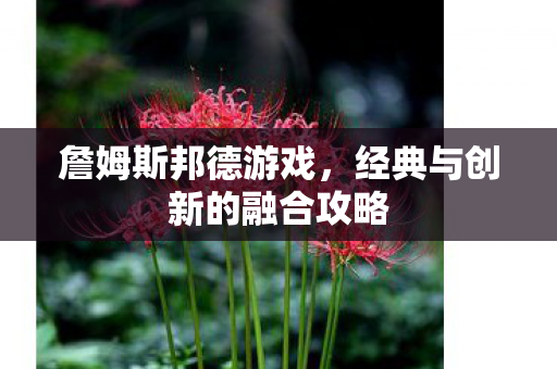 詹姆斯邦德游戏，经典与创新的融合攻略