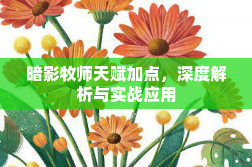 深度解析与实战应用图片