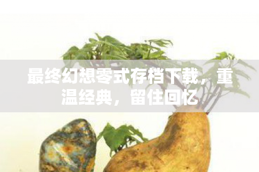 最终幻想零式存档下载,重温经典,留住回忆 最终幻想零式存档下载,重温经典,留住回忆