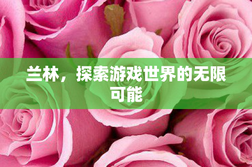 兰林，探索游戏世界的无限可能