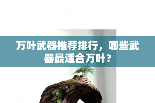 万叶武器推荐排行，哪些武器最适合万叶？