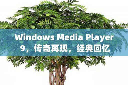 Windows Media Player 9，传奇再现，经典回忆