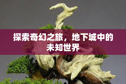 探索奇幻之旅,地下城中的未知世界 探索奇幻之旅,地下城中的未知世界