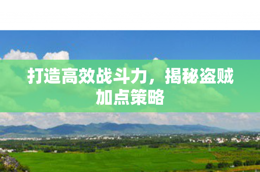 打造高效战斗力,揭秘盗贼加点策略 打造高效战斗力,揭秘盗贼加点策略