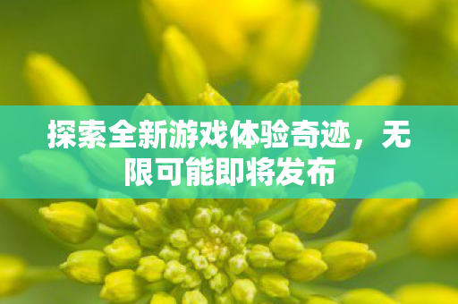 探索全新游戏体验奇迹,无限可能即将发布 探索全新游戏体验奇迹,无限可能即将发布