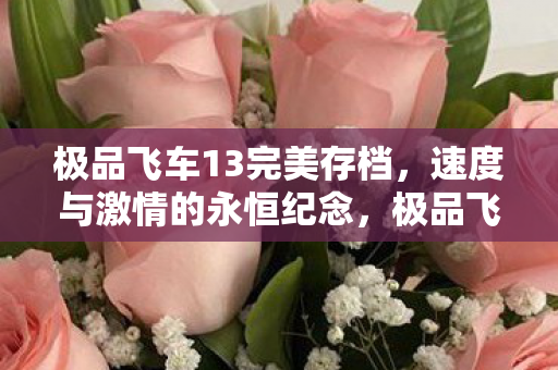 极品飞车13完美存档图片