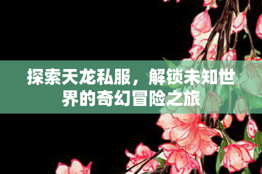 探索天龙私服，解锁未知世界的奇幻冒险之旅