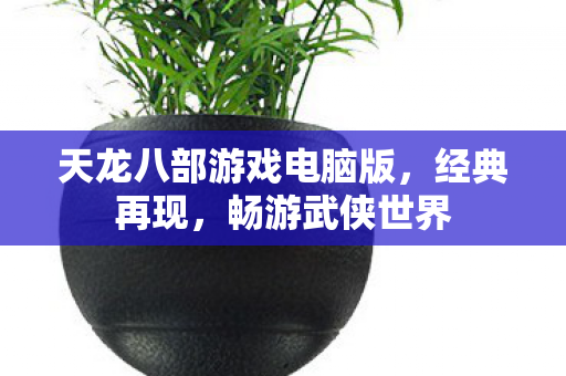 天龙八部游戏电脑版,经典再现,畅游武侠世界 天龙八部游戏电脑版,经典再现,畅游武侠世界