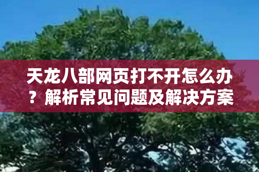 天龙八部网页打不开怎么办？解析常见问题及解决方案
